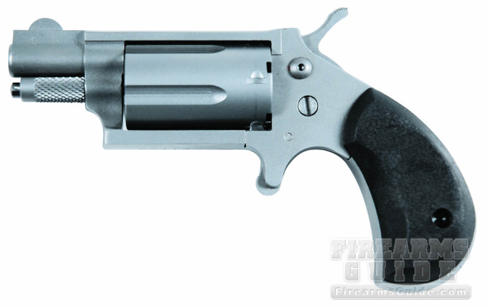 Charter Arms The Dixie Derringer.