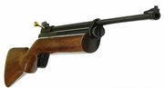 Crosman 2260