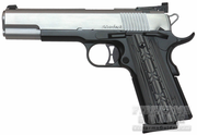 DanWesson Silverback.