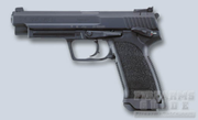 H&K USP Expert.