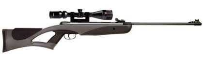 Remington Genesis