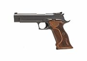 SIG P210 TARGET