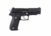 SIG P226 NIGHTMARE FULL-SIZE