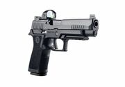 SIG P320 RXP XFULL-SIZE