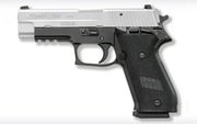 SIG SAUER P220 Two-Tone SAO