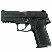 Sig Sauer P229R Nitron DAK