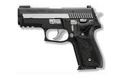 SIG SAUER P229 Equinox