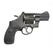 S&W Model 310 Night Guard