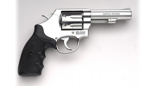 S&W 619