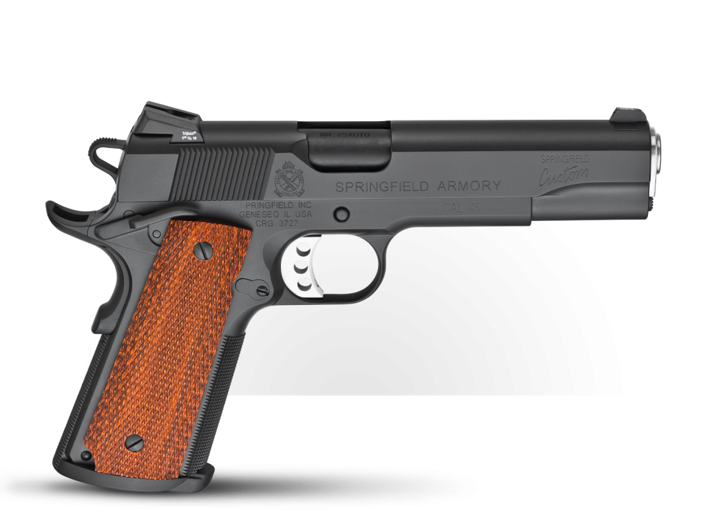 Springfield 1911 PROFESSIONAL