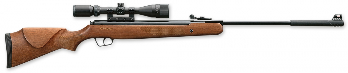 Stoeger X50 air rifle
