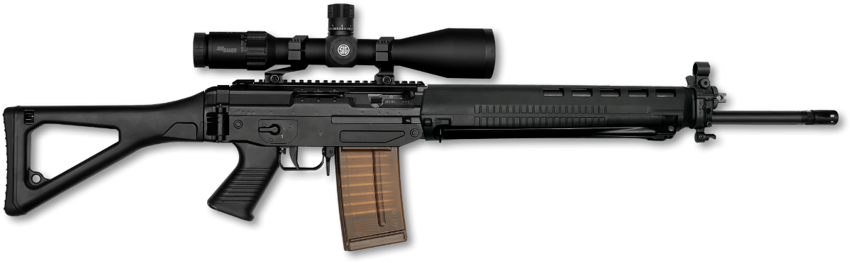 SIG SAUER SG 750