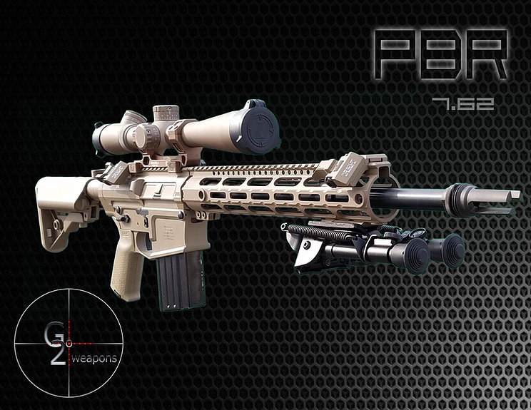 GO2 PBR Piston (precision Battle Rifle)