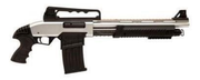 Carlos Arms PT-309