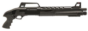 Carlos Arms PT-307