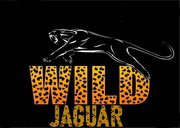 Wild Jaguar Gun
