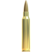 5.56x45 mm or .223 Remington