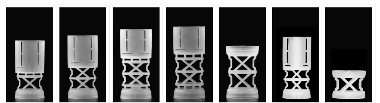 ShotShell Plastic Wads & Empty Hulls