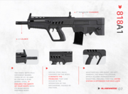 818A1 BULLPUP