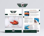 RAMSA HAVA SAVUNMA SANAYİ ARAŞTIRMA GELİŞTİRME MÜHENDİSLİK TİCARET LİMİTED ŞİRKETİ